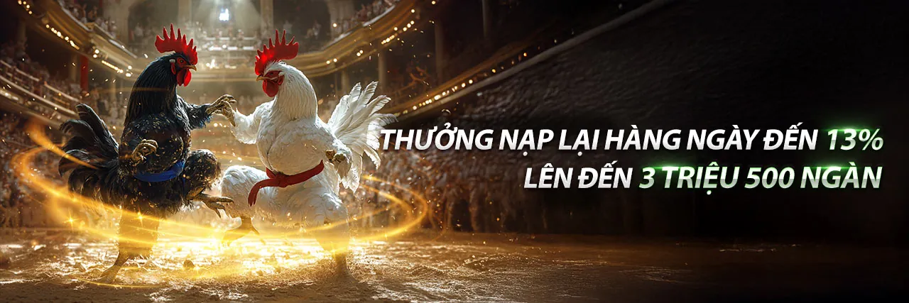 Gà đá tại trường đấu Sabong67
